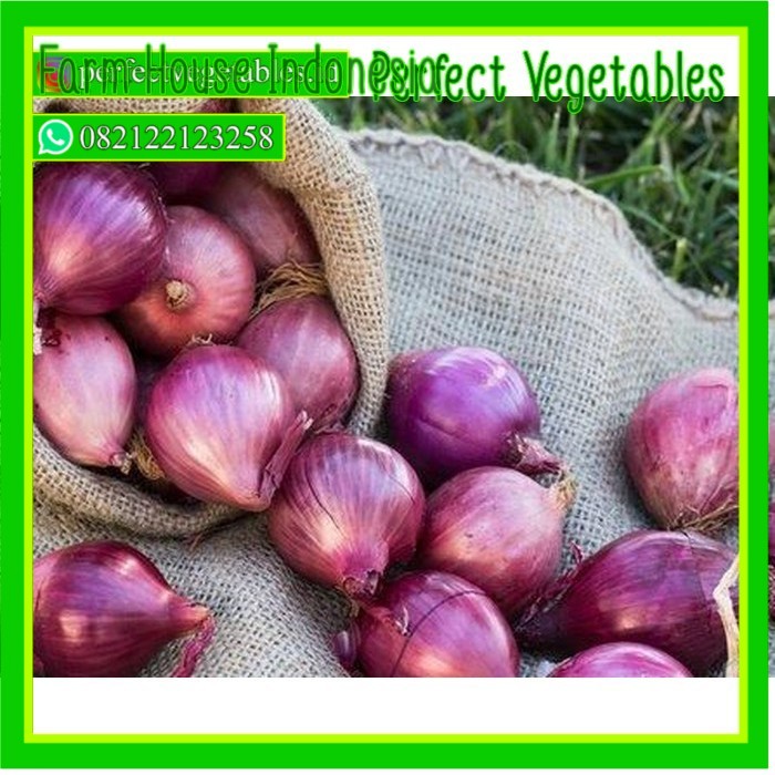 

Bawang merah 250gr (tdk dikupas)