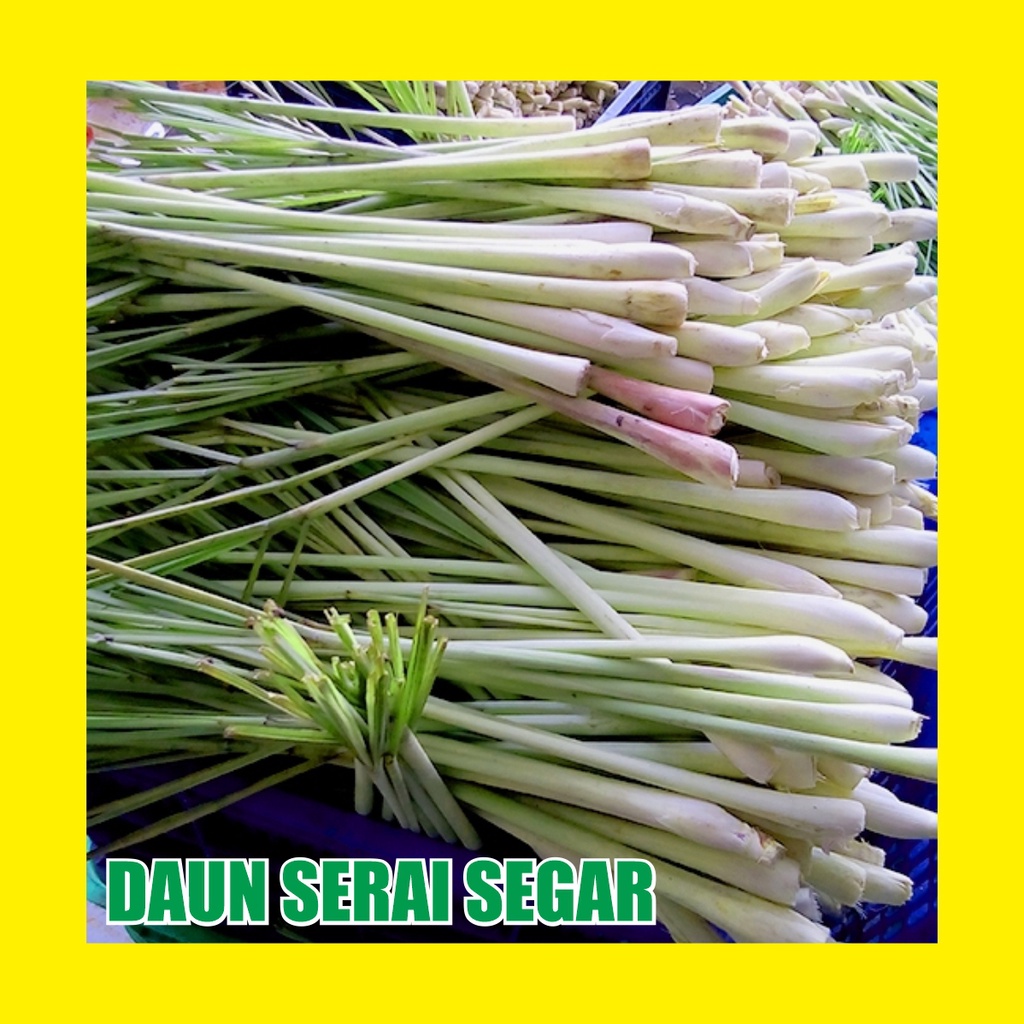 

Sere Bumbu Daun Serai / Sereh Segar 500 gram
