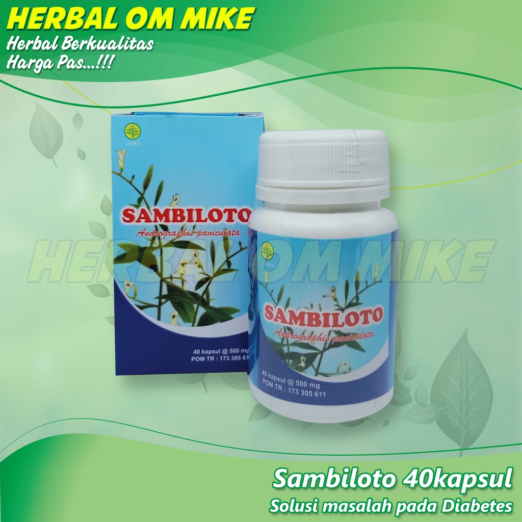 

Sambiloto 40kapsul Solusi masalah pada Diabetes