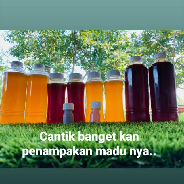 

Madu hutan sumbawa 100% asli murah