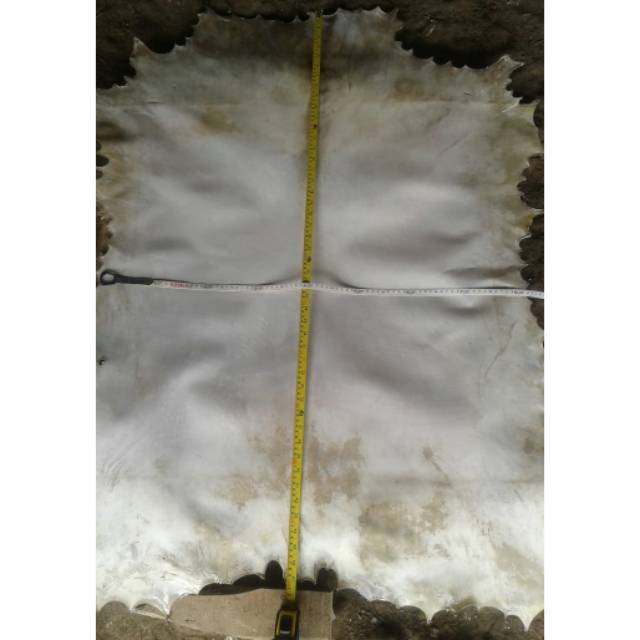 Kulit Kambing Lembaran