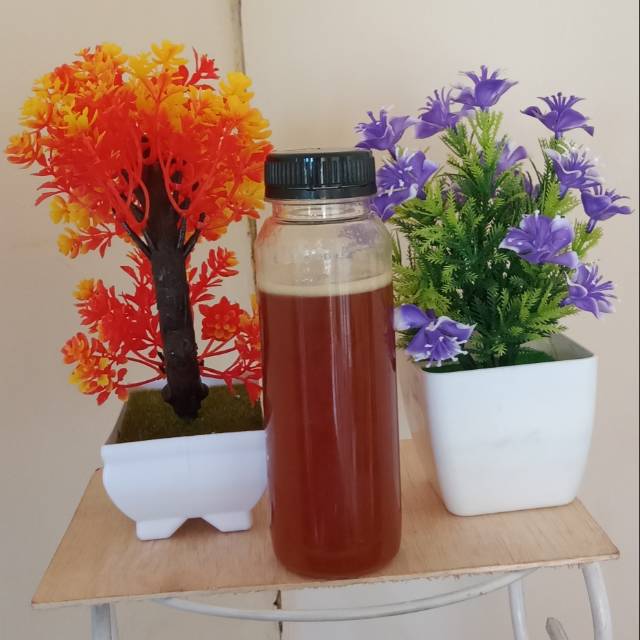 

Madu Lebah Asli