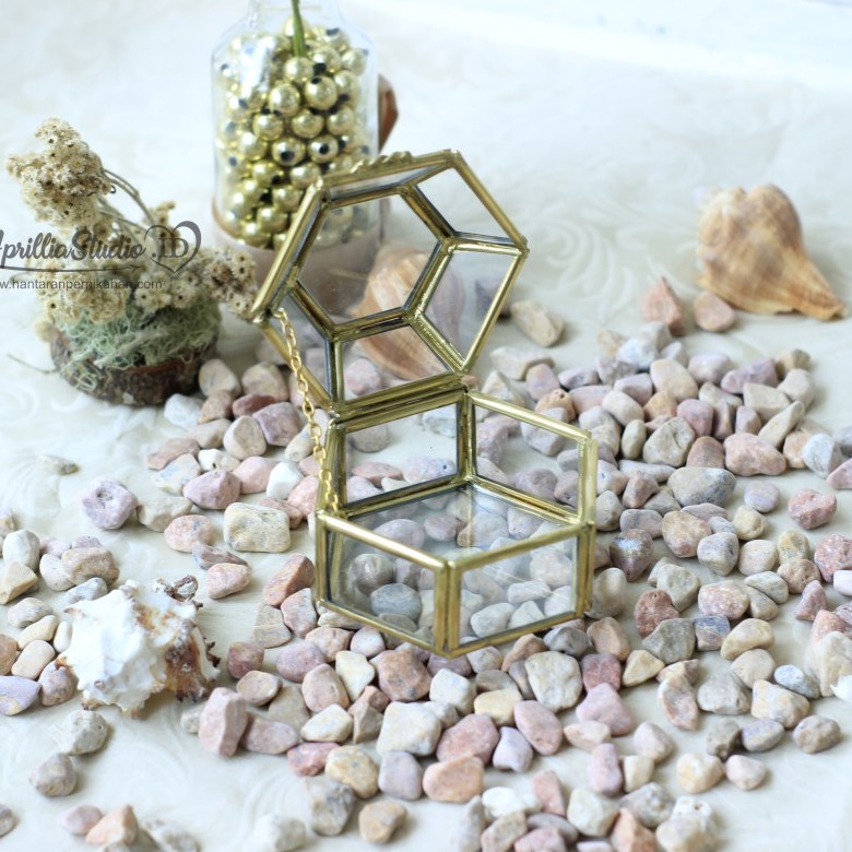 Kotak Perhiasan | Ringbox Terarium Mini Diamond S6