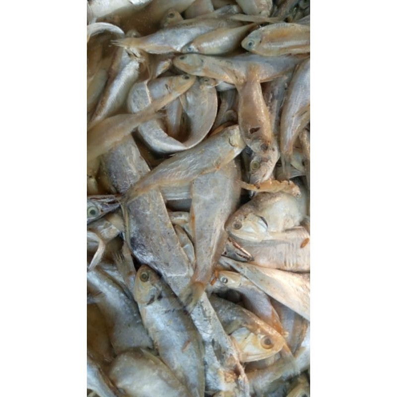 

ikan asin