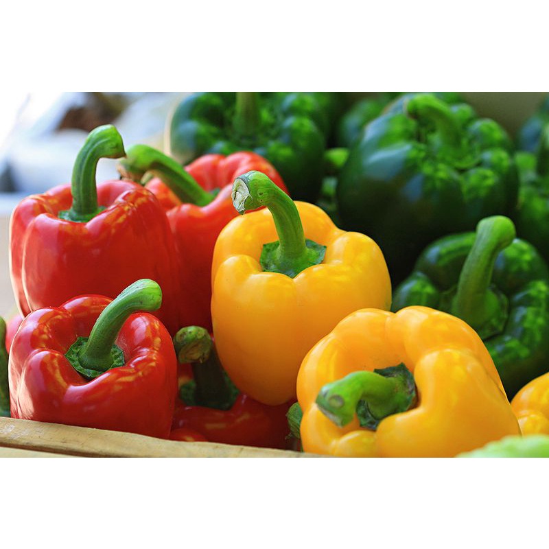 

paprika segar