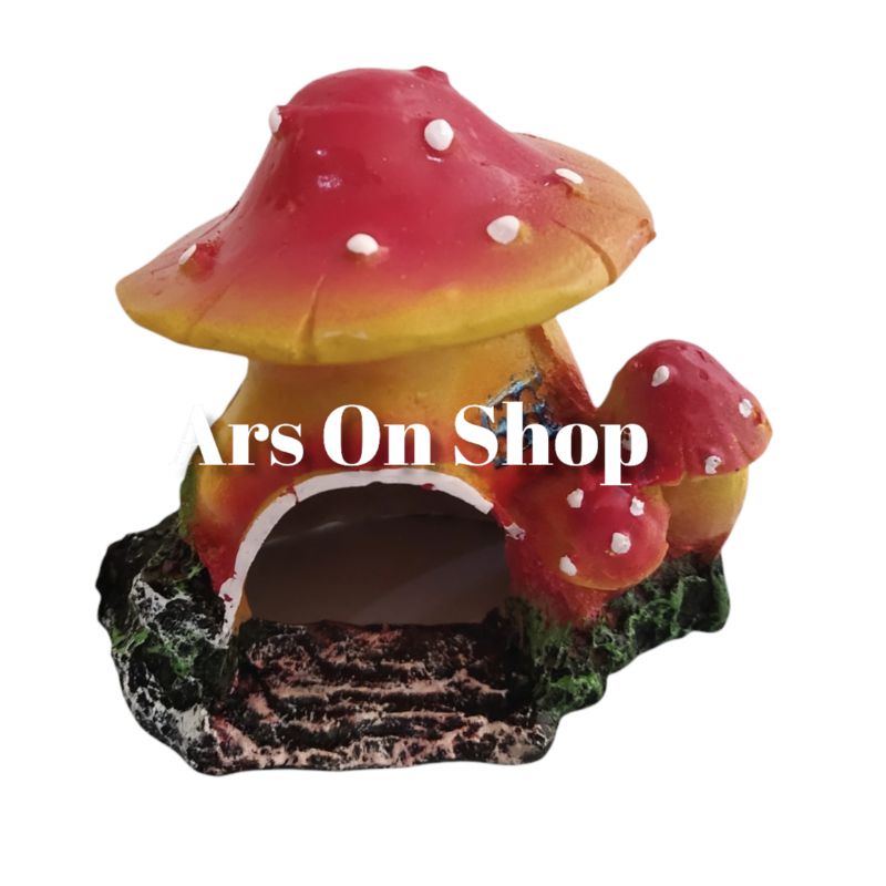 Hiasan Aquarium Rumah Jamur