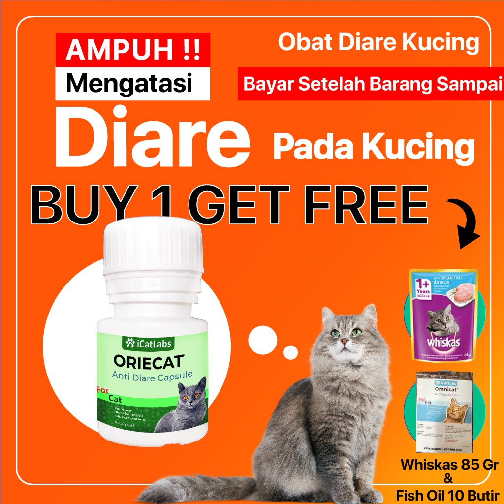 Makanan VItamin Obat Mencret Diare Penggemuk Snack Kucing Kitten Anak Kucing Cat Food Oriecat