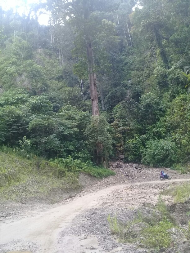 Espresso Coffee Maker Moka Pot Teko Filter 300ml 6 Cup Stainless Steel