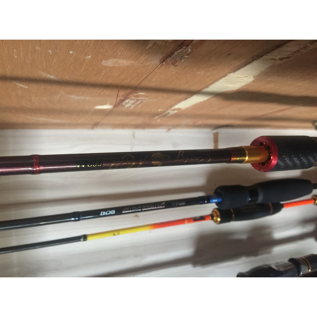 Joran cacing merah sp