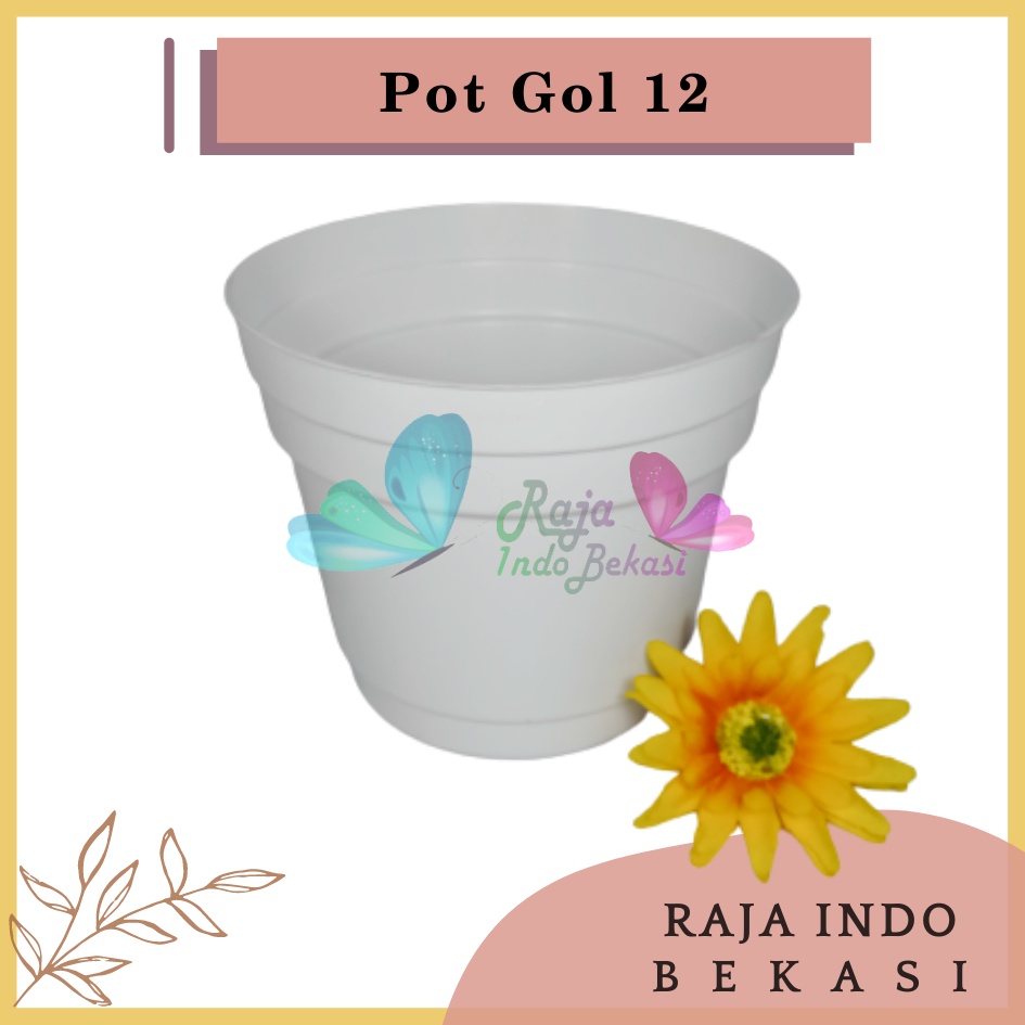 Rajaindobekasi Pot 12 Putih Polos - Pot 12 Cm Putih Kecil Mini Minimalis Plastik Kaktus Sukulen Mini Murah Pot Bibit Pembibitan