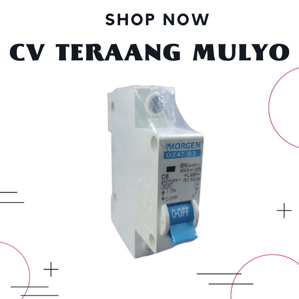 MCB 6 Ampere 1Phase Morgen