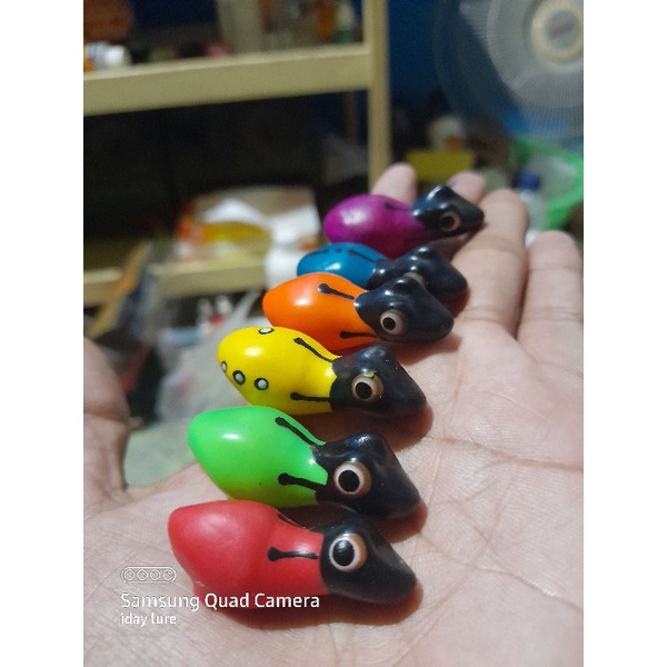 cangkang soft frog 4,3cm