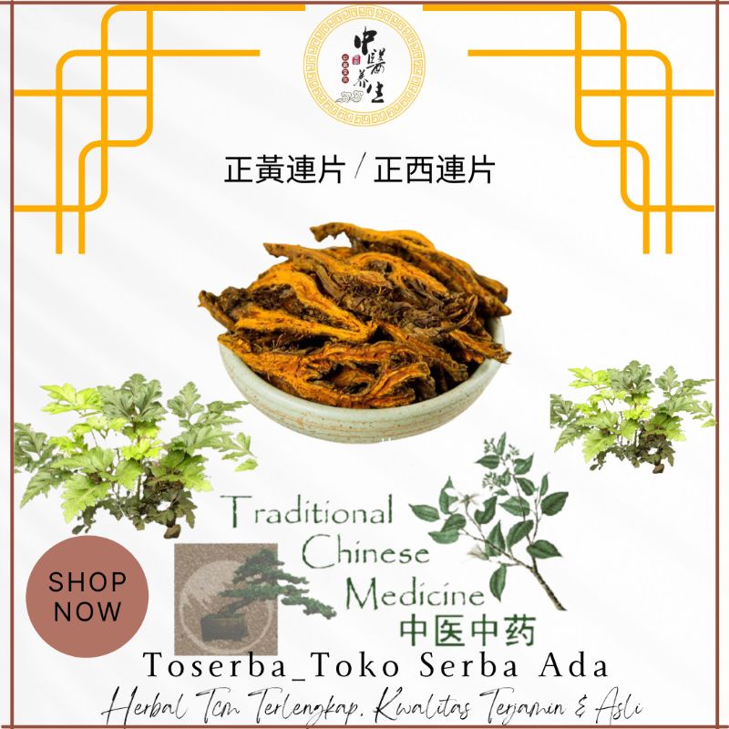 

50gr Herbal Zheng Huang Lian Asli Produk 正黃連 正西連 Coptis Root Golden Thread Rhizoma Coptidis Coptis Chinensis Rhizoma Coptidis Grade A