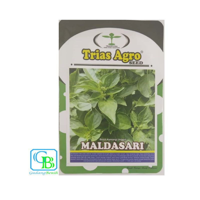 Benih Kemangi Maldasari 10gram Bibit Kemangi Unggul Benih Daun Kemangi