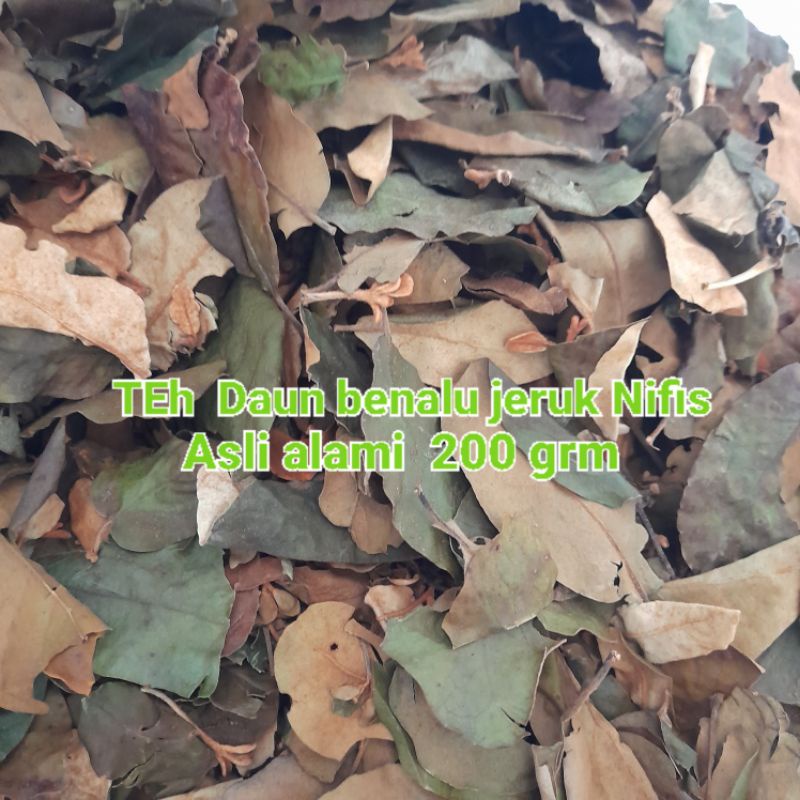 

Daun benalu jeruk nifis kering anti per 200 germ