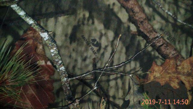 Bahan Kain Loreng Camo Realtree Perbakin Mossy Oak Ranting Daun Pohon Katun