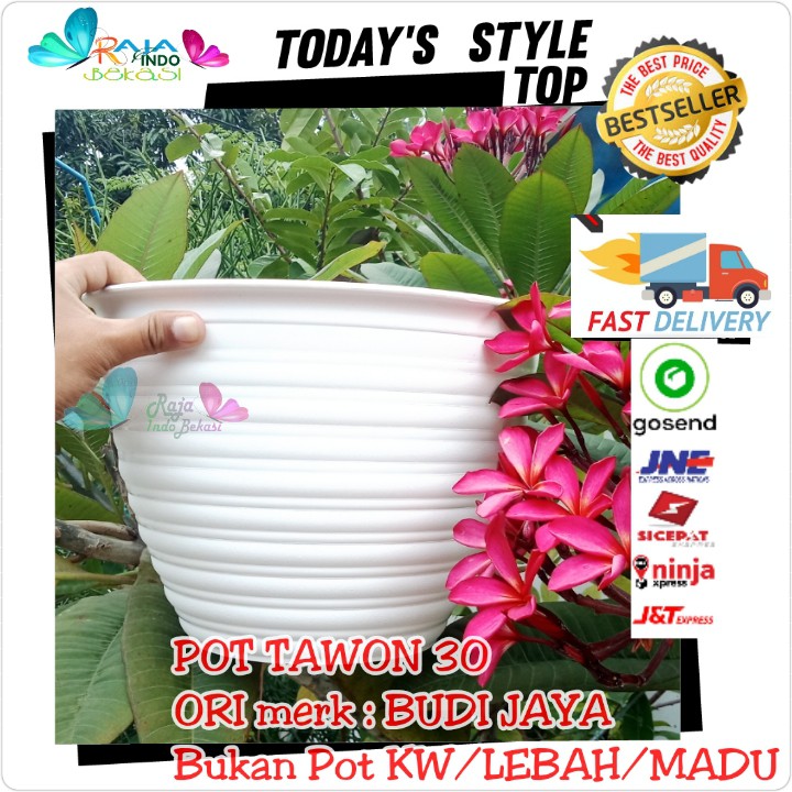 Pot Tawon 30 Cm Putih Tawon Pot 30CM Plastik Vas Pot Bunga - POT TAWON BESAR - Bukan Pot 25 24 Cm