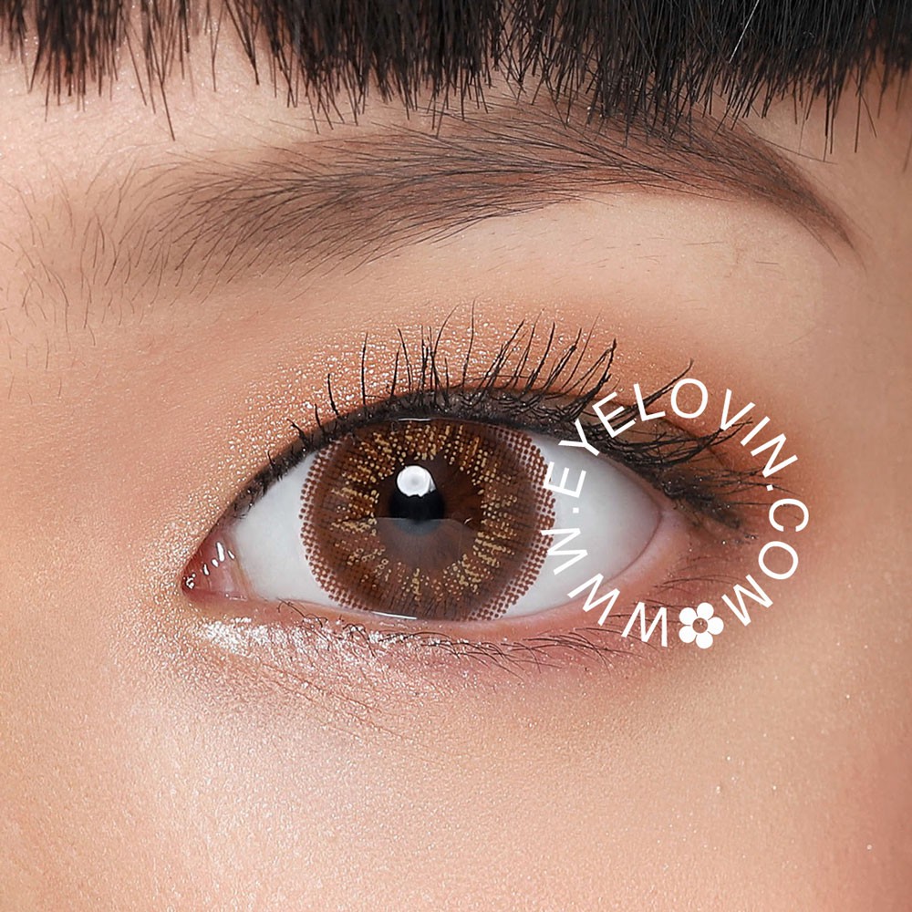 EYELOVIN Softlens Verca - Verca Dubai 3 Color Brown