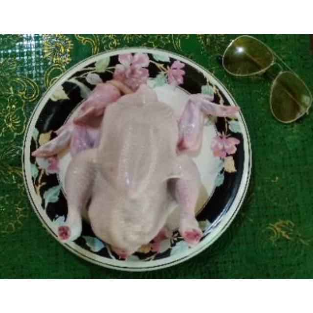 

Ayam potong 1.2 kg