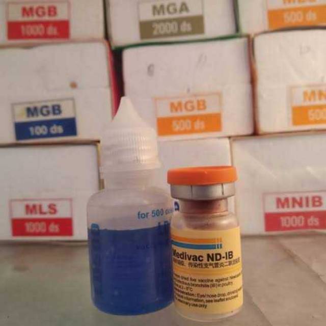 Vaksin nd ib 1000 tetes