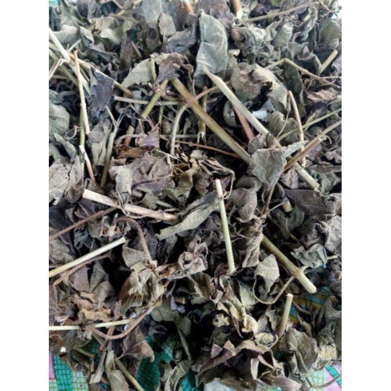 

daun kirinyuh atau kopasanda kering 1 kg