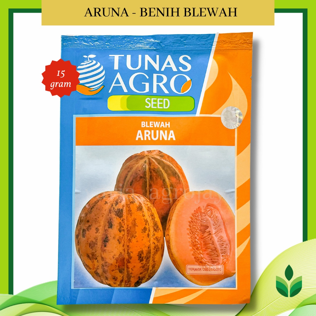 Benih Bibit Blewah Aruna - Tunas Agro