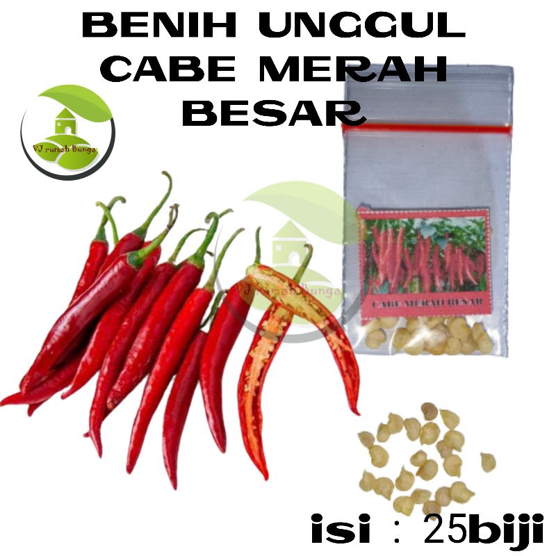 Benih Sayuran Unggul Ratusan Benih Sayur Benih Bibit Sayuran-Cabe Merah Besar