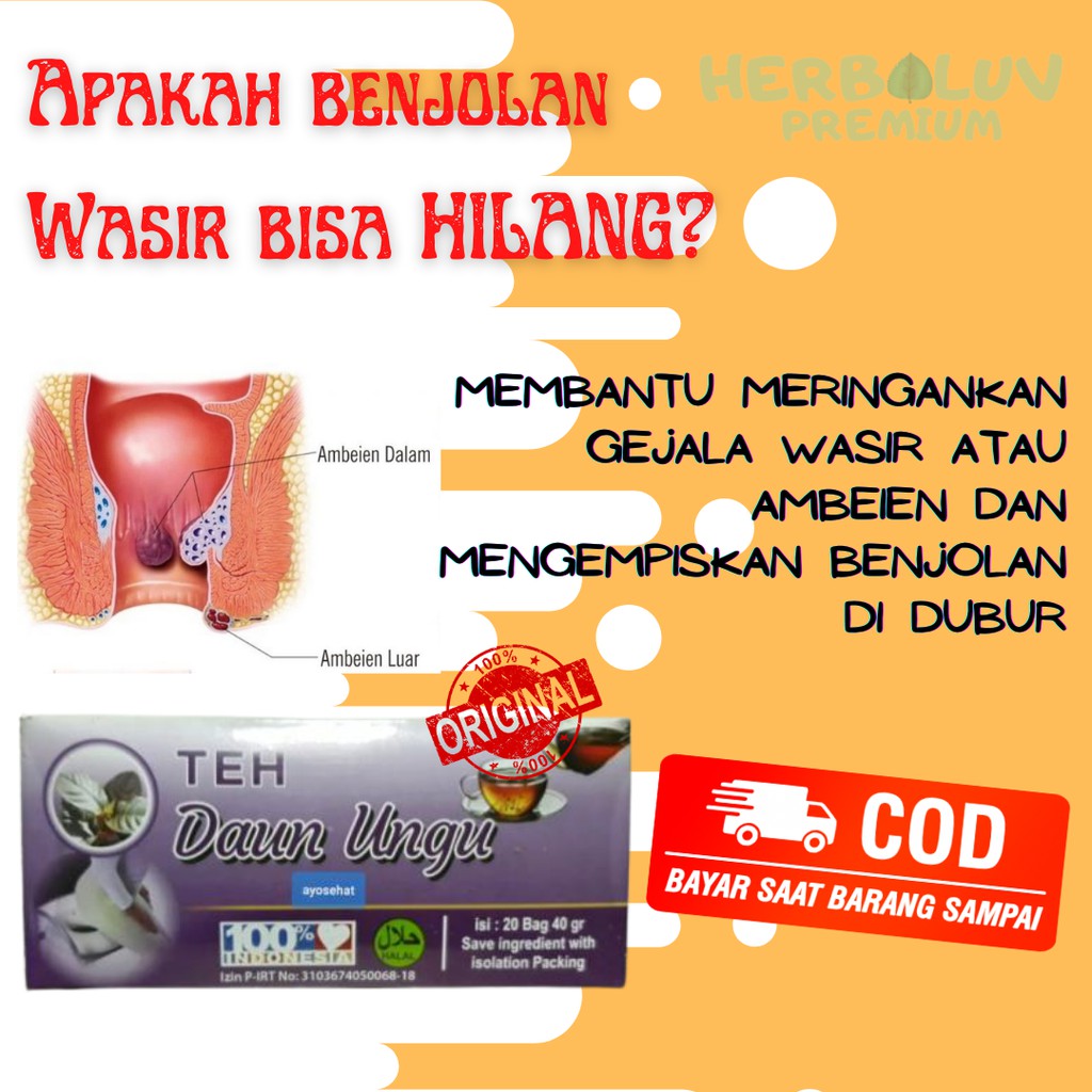

Teh Celup Daun Ungu Herbal Wasir Sembelit Isi 20