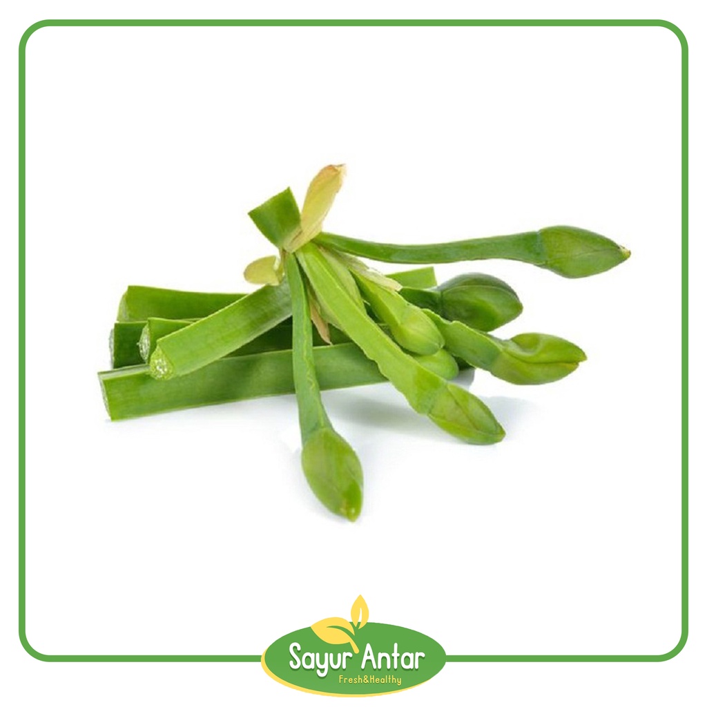 

Daun Genjer 1 Ikat | Sayur.Antar | Free Ongkir Bandung Cimahi