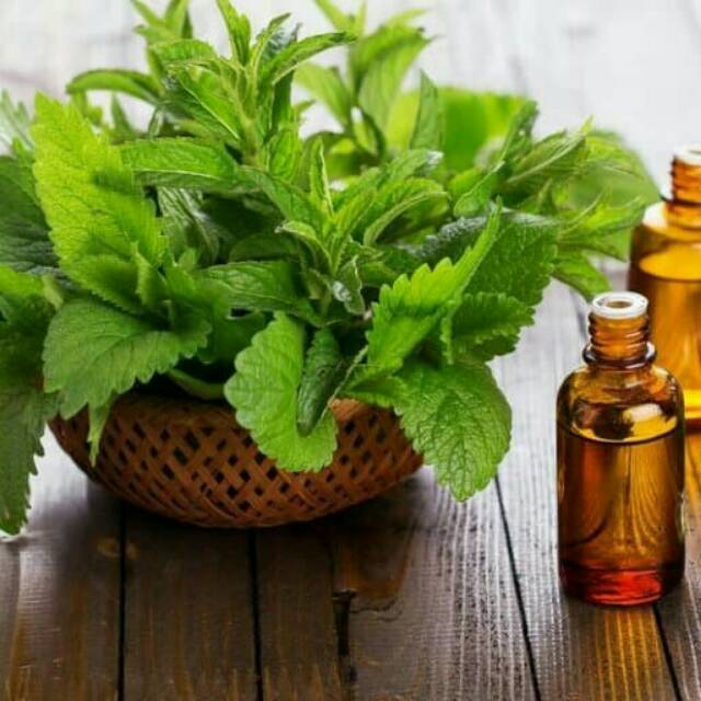 

Minyak Nilam/ Patchouli Oil