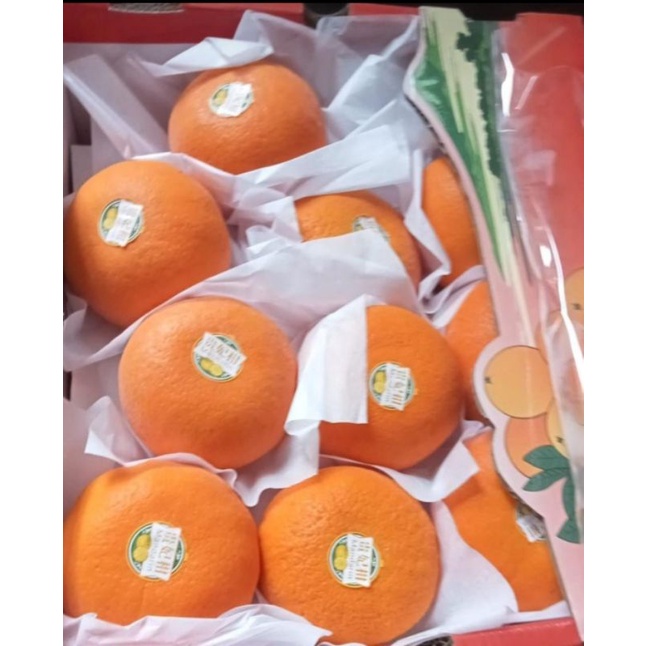 

Jeruk Wokam 1kg