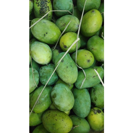 

mangga simanalagi 1 kg