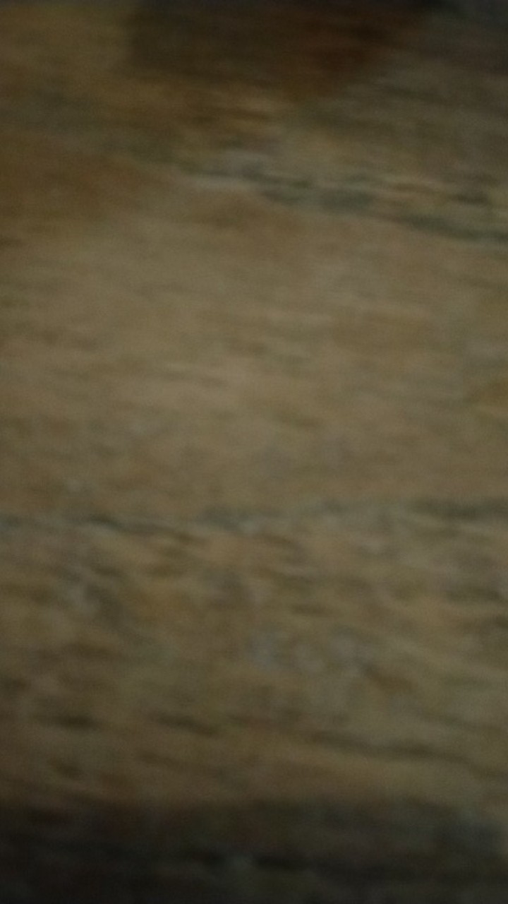 Kuas Cat Tembok Putih 1” Kuas Vernish Kuas Pernis 1 Inch