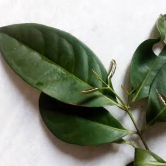 

Daun Salam 100gr/ Daun Salam Segar