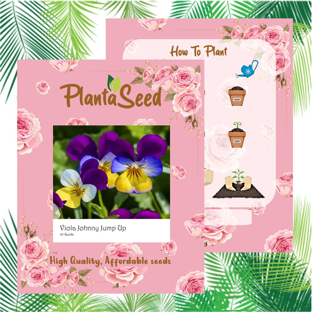 PlantaSeed - 50 Seeds - Viola Johnny Jump Up Biji Bunga - PAS0210