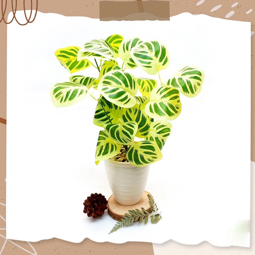 Artificial Flower Pot Daun Hias Keladi Putih Premium - LV2