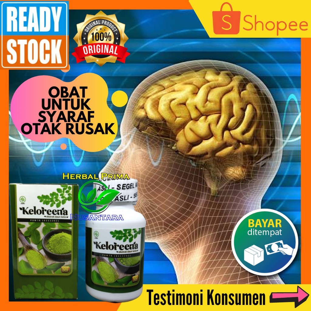 Obat Saraf Otak Rusak Herbal - Obat Syaraf Otak Bermasalah - KELOREENA ...