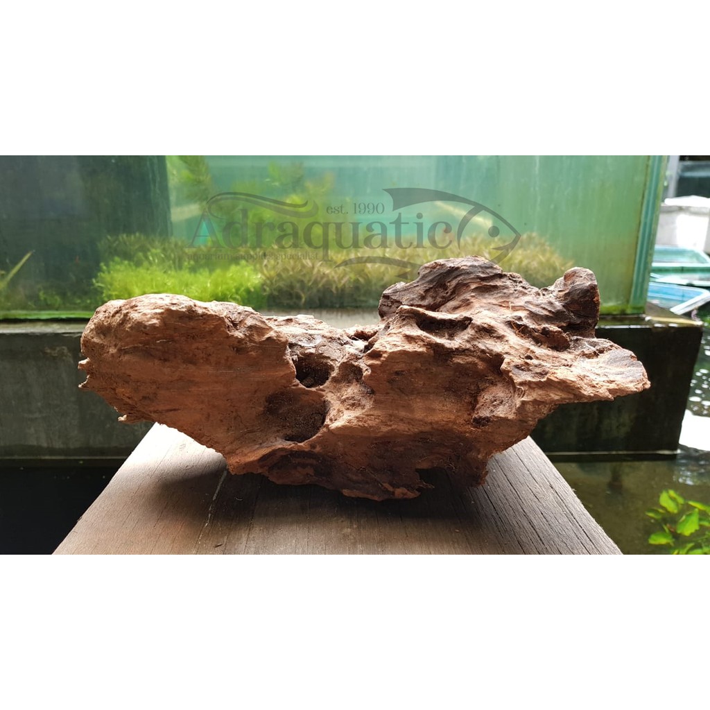 KAYU GUNUNG APUNG 1KG 1 KG HIASAN  AQUARIUM  AQUASCAPE 