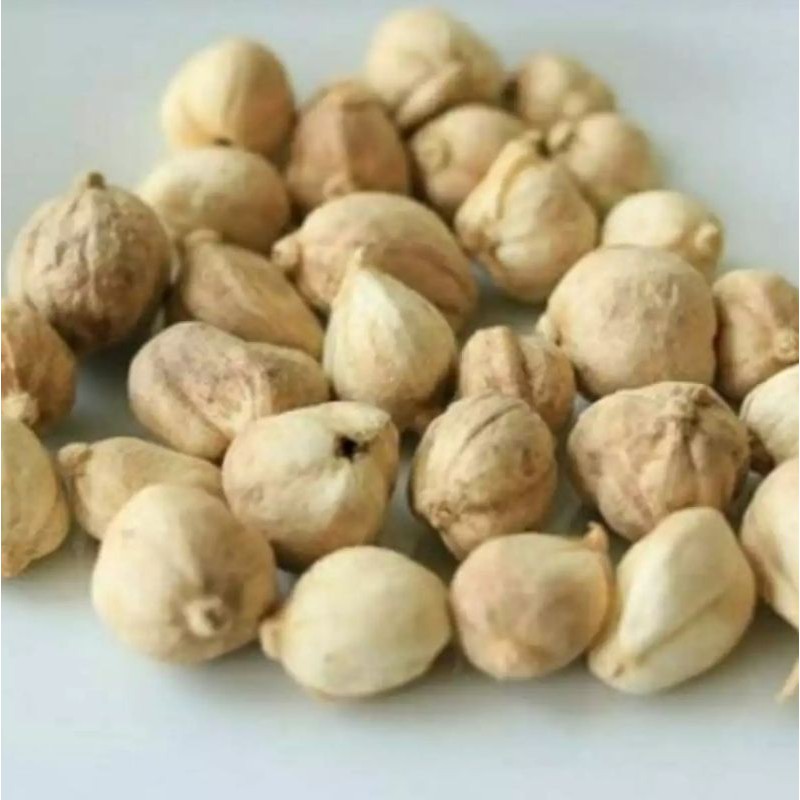 

biji kapulaga basah 500 gram