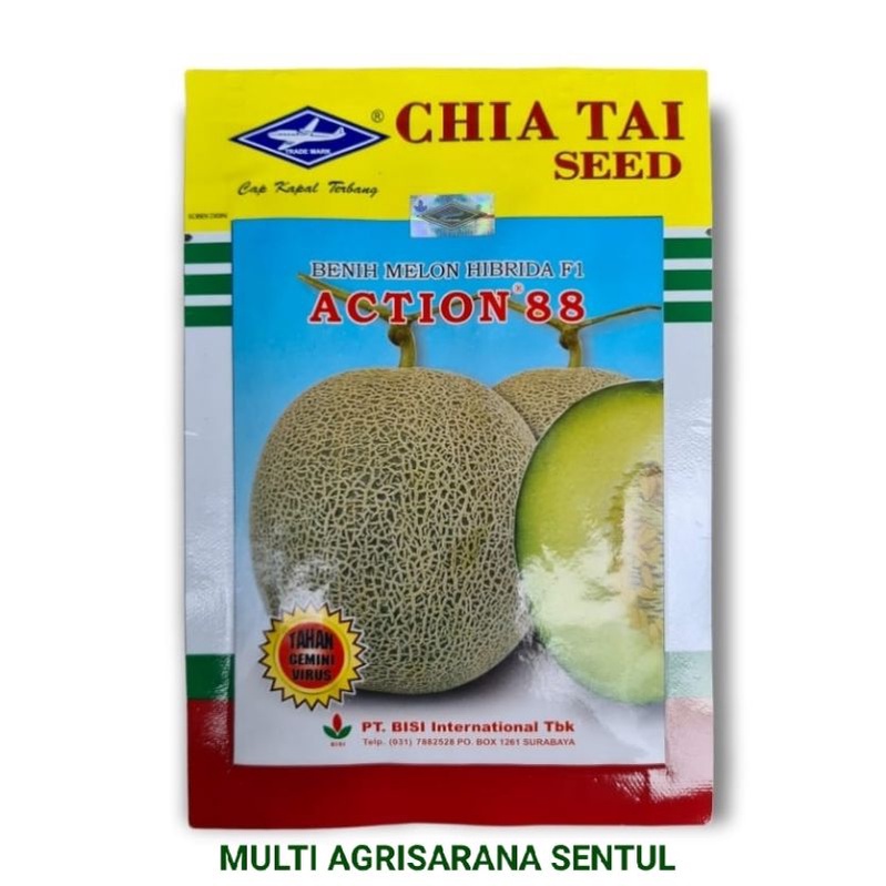 Benih Bibit Melon Hibrida F1 ACTION 88 Original isi 550 biji