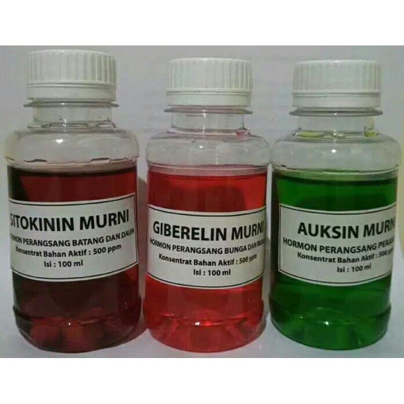1 Paket Hormon Tanaman Sitokinin Giberelin Dan Auksin Perbotol 100 Ml 1000 ppm