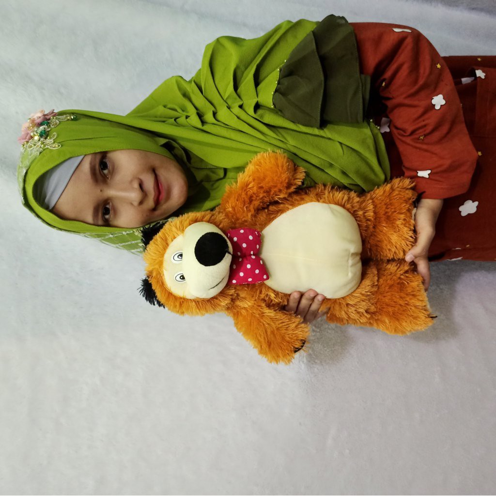 Boneka TEDDY Bear marsha murah