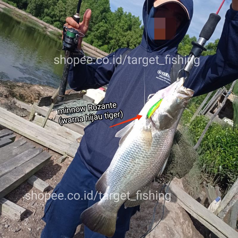 Minnow ROZANTE 77SP 10gr Treble Hook 3X STRONG - Umpan Casting Suspending Hampala Barramundi