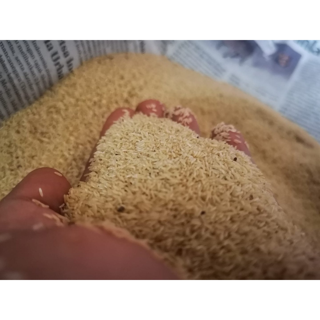 Telur Jangkrik Umpan Mancing Ikan Mas