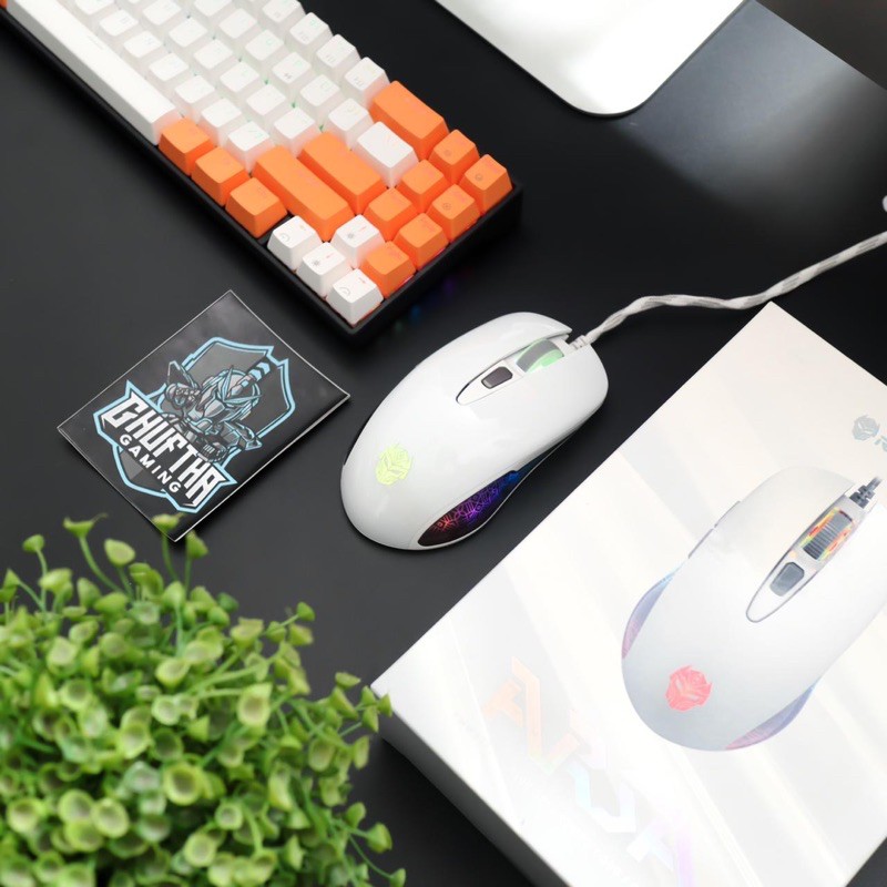 MOUSE REXUS ARSA