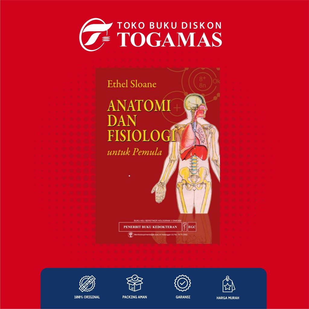 Jual Anatomi dan Fisiologi Untuk Pemula - Ethel Sloane
