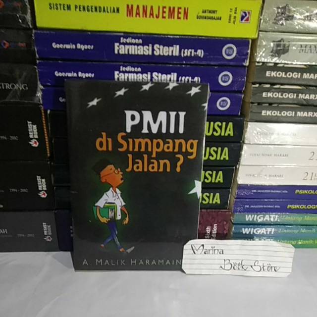 Pmii di simpang jalan