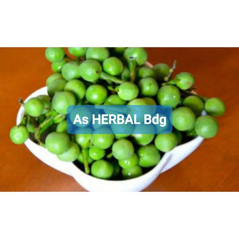 

Hemat 250 gram buah cepokak takokak segar fresh