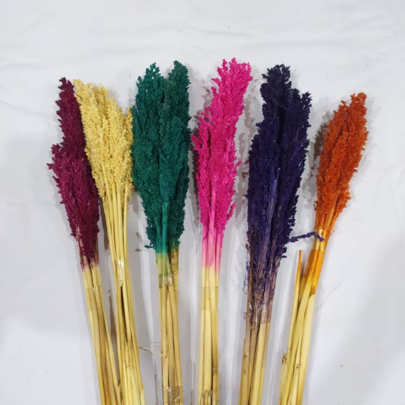 Bunga Cantel kering /Bunga kering /Bunga Dekorasi /Bunga hias /Hiasan mahar /Bunga hias pernikahan /