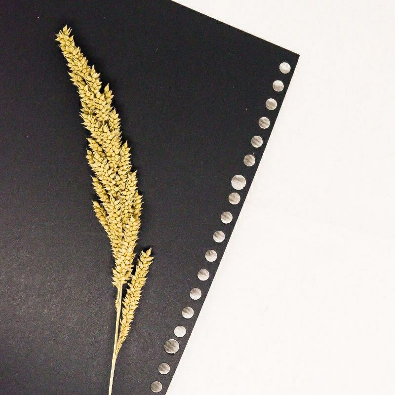 

LOOSE LEAF HITAM / ISI LOOSE LEAF HITAM / LOOSE LEAF TEBAL / ISI BINDE